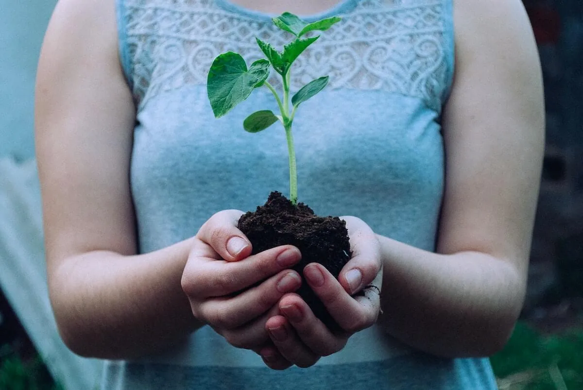 woman holding plant in soil in her hands investing myths investing for nurses
