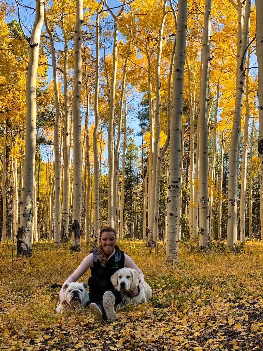 colorado travel nursing with dogs